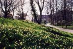 Frühling im Botanischen Garten